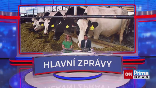 Akcelerační kravíny a vepříny