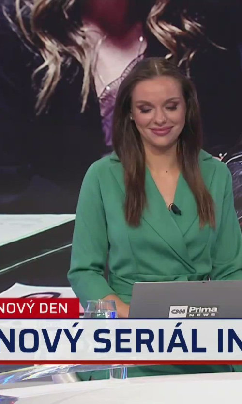 Režisér David Laňka o seriálu Inspekce