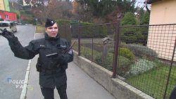 Policie v akci