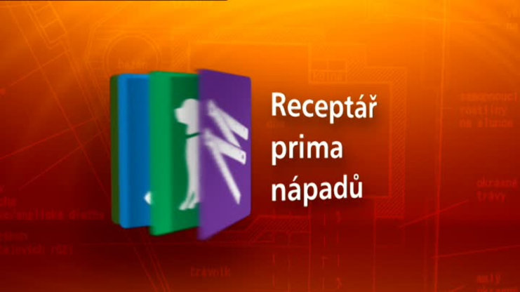 Receptář prima nápadů 2014 (8)