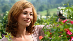 Vraždy v Kitzbühelu