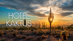 Hotel Kaktus
