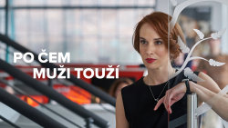 Po čem muži touží