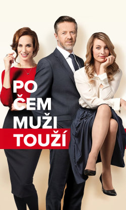 Po čem muži touží