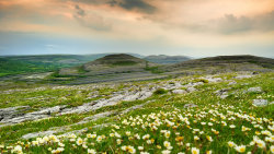 Irsko: Zelený ostrov, šedá pustina