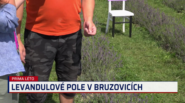 Náhled videa