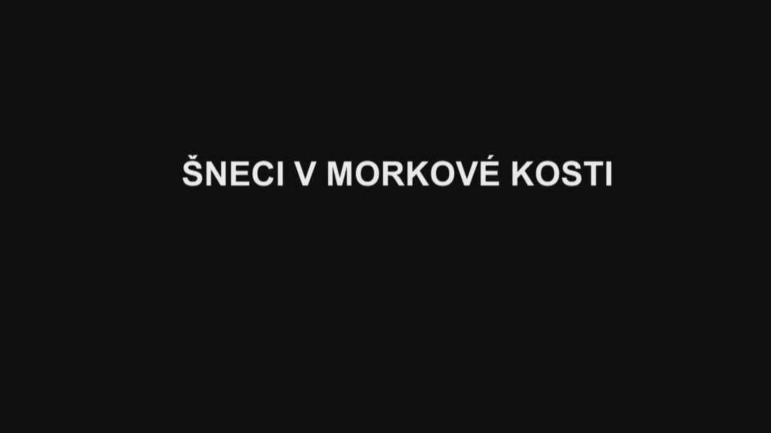 Náhled videa