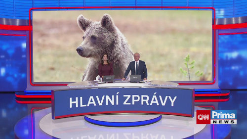 Obavy z medvěda v obci na Valašsku