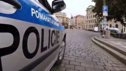 Policie v akci