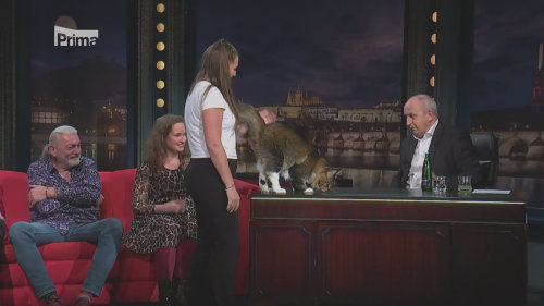 Kateřina Štiblická, zakladatelka kočičí polepšovny, v Show Jana Krause (2025)