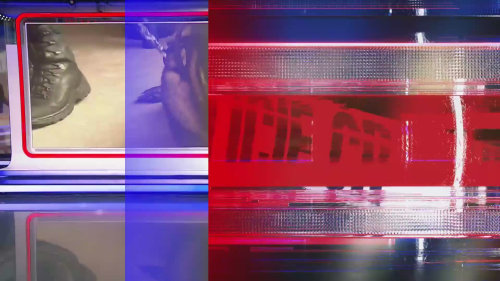 Nejlepší policejní VIDEA: Soutěž ovládly záběry ze zásahů služebních psů Harleye a Bobíka