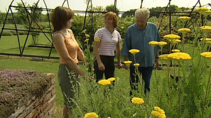 Receptář prima nápadů 2005 (33)