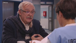 Modrý kód (174): Uděláš ze mne krávu
