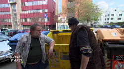 Policie v akci