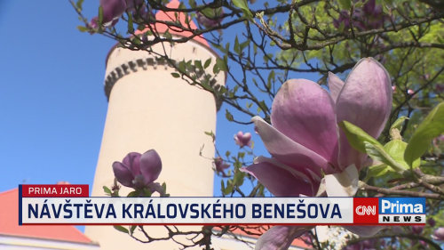 Prima ROK, 24.5. v 17:35 - Benešov