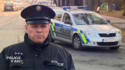 Policie v akci