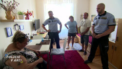 Policie v akci