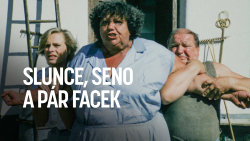 Slunce, seno a pár facek