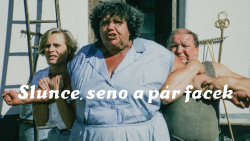 Slunce, seno a pár facek