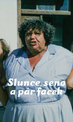 Slunce, seno a pár facek