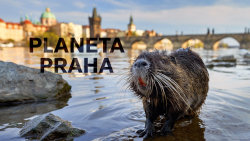 Planeta Praha