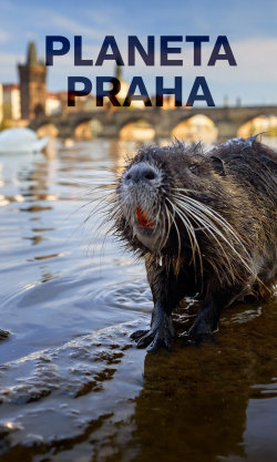 Planeta Praha
