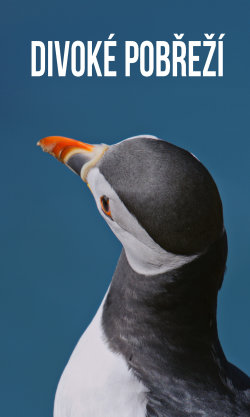 Divoké pobřeží