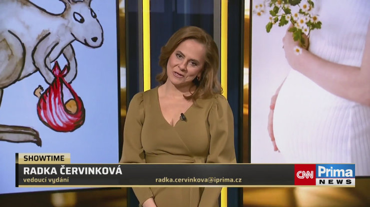 Náhled videa