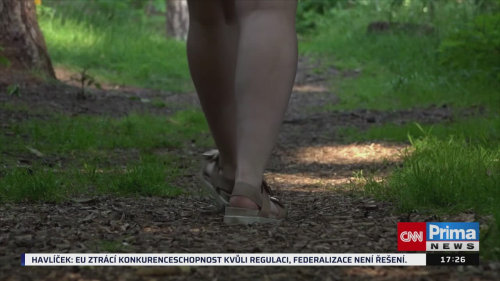 ZPRÁVY Z REGIONŮ, 21.5. v 17:25