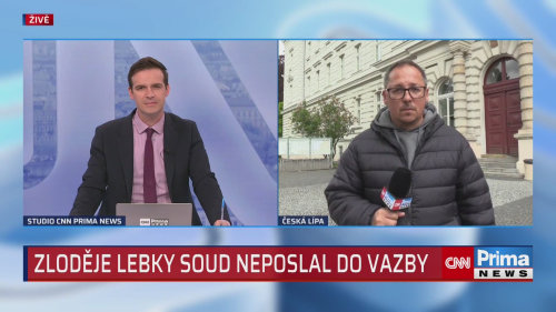 Zloděj lebky nepůjde do vazby
