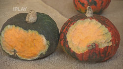 Gondíci s. r. o. (27)