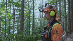 Dřevařští titáni