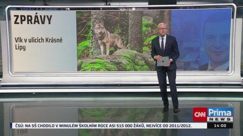 ZPRÁVY, 27.8. v 14:00