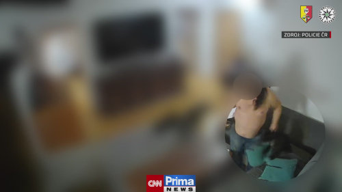 Muž z Prahy týral zvířata i partnerku se synem