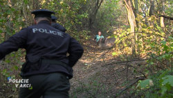 Policie v akci