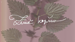 Země kopřiv