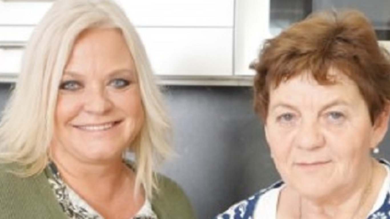 Sázení ostružin, přírodní záhon "německá kopa", oprava rýhy schodiště, vánoční perníčky