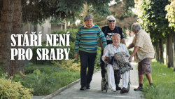 Stáří není pro sraby