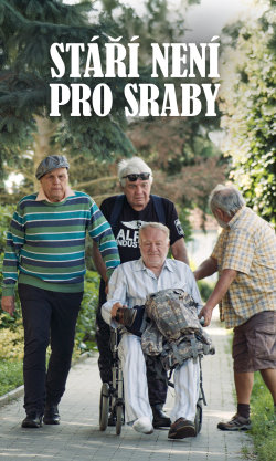 Stáří není pro sraby