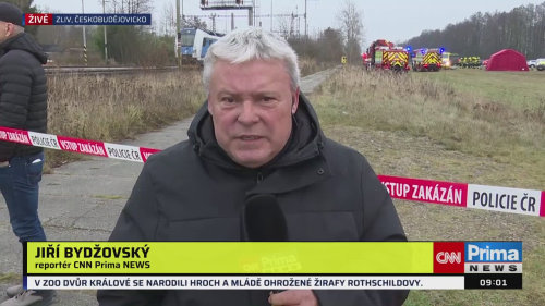 ZPRÁVY - 20.11. v 09:00