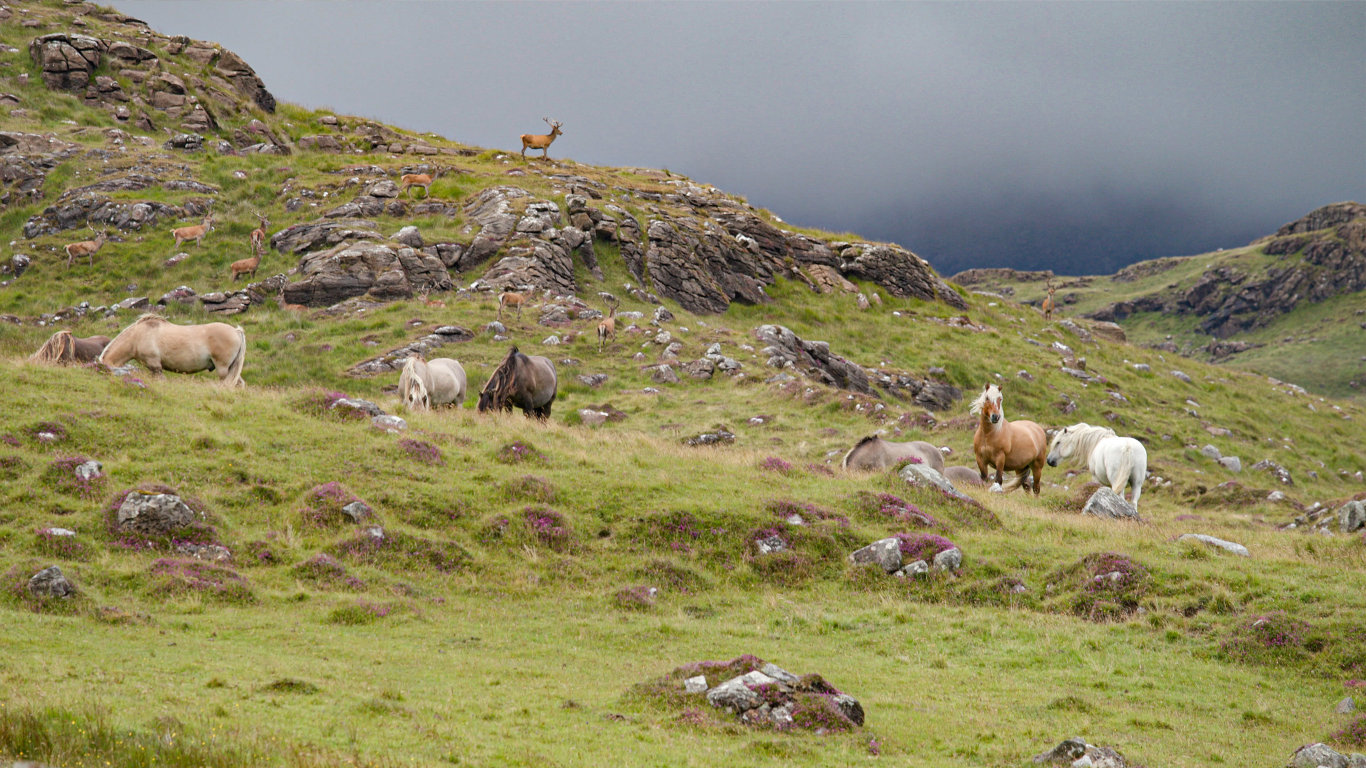Neobyčejný ostrov Rum