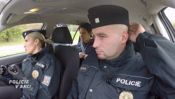 Policie v akci