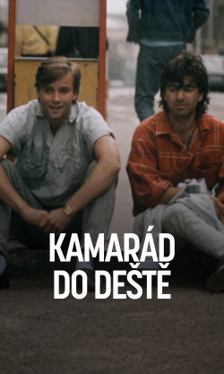 Kamarád do deště