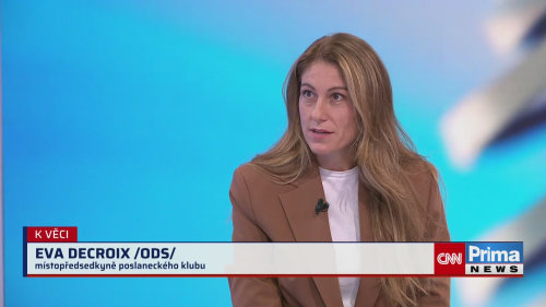 Tejcova rétorika mě děsí, říká Decroix