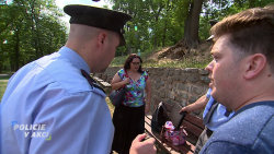 Policie v akci