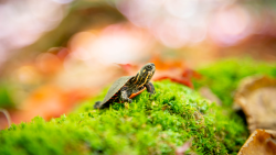 Velká malá putování