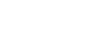 Tažní ptáci: Rok na křídlech