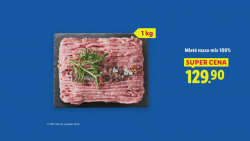 SHOWTIME, 22.11. v 19:55