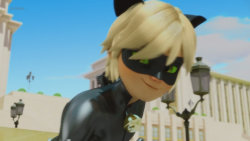 Kouzelná Beruška a Černý kocour