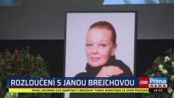 ZPRÁVY Z REGIONŮ, 17.2. v 16:55